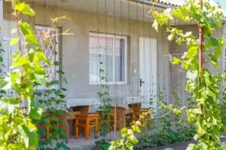 Южный Берег - 39