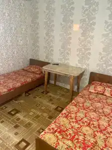 У Ларисы - 4