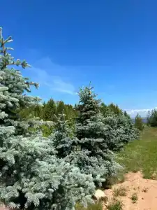 Остров Спасения - 9