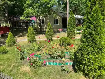 Лесовичок - 41