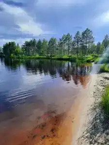 Лесная Купель - 21