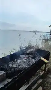 Жемчужный - 43