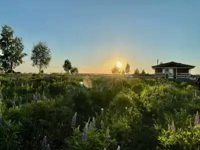 ПолеДом - 37