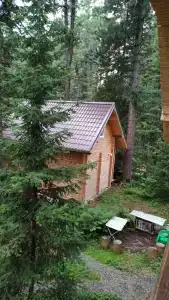 На Ореховой - 46