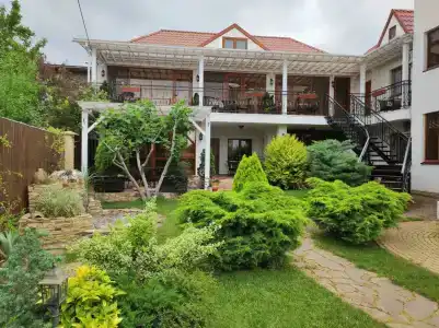 Кипарис - 6