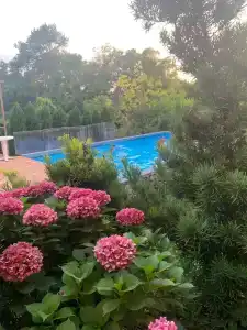 у Светланы - 3