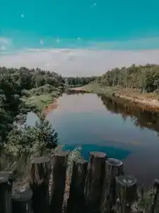 В гостях у Лешего - 19