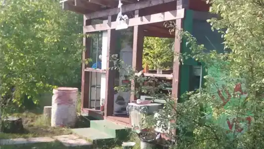 Шалом - 5