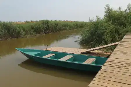 Дельта - 12