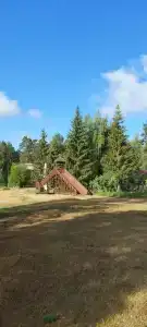 Рубин - 89