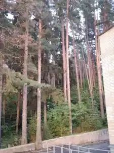 Мать и дитя - 37