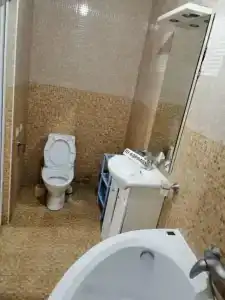 Партан - 21
