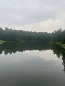 Нара - 25