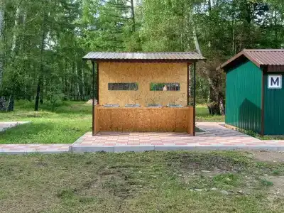 Спутник - 82