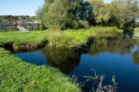 Беловежское Поместье - 13