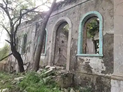 Бамбук - 3