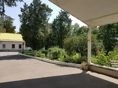 Ромашка - 32