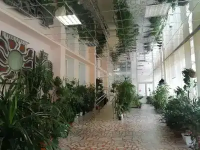 Кольский - 33