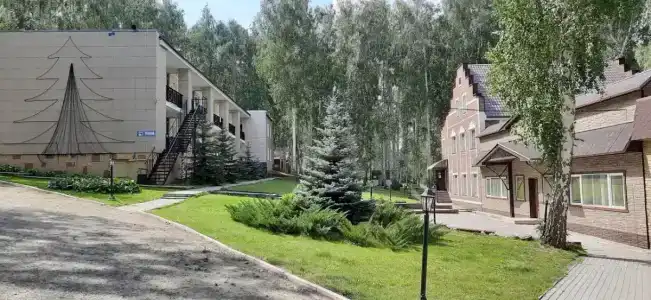 Берёзка - 30