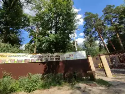 Зеленый огонёк - 2