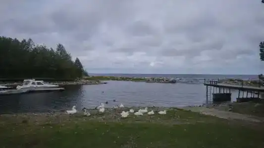 Самая Ладога - 90