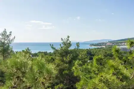 Le Sea - 5