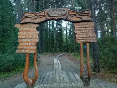 Хакусы - 23