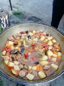 Акуля - 23