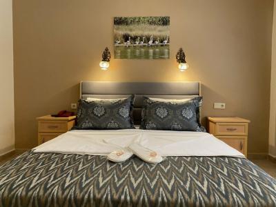 Portakal Dalyan - 59