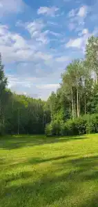 Юность - 24