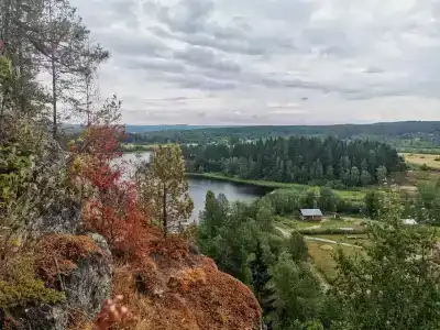 Хвойный парк - 5