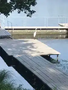 Зелёная роща - 26