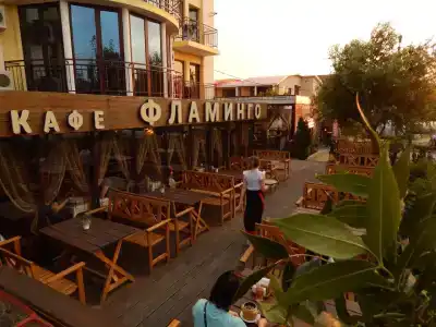 Фламинго - 96