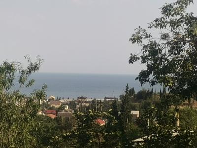 Амир - 24