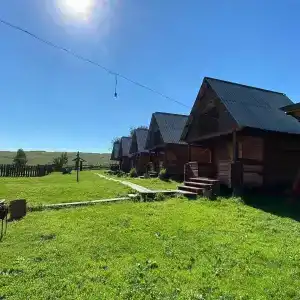 Агария - 1