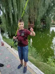 Зеленый Яр - 54