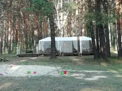 Домик в лесу - 99
