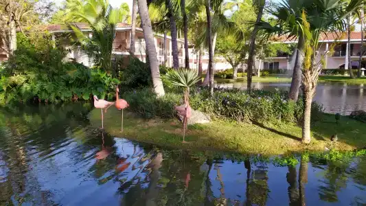 Natura Park Beach & Spa Eco - All Inclusive - 20