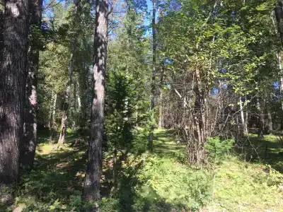 Слюдяночка - 39