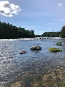 Сегежа Парк - 77