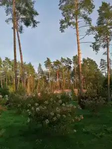 Домашово - 23