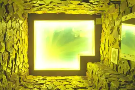 Ленивый Дельфин - 55