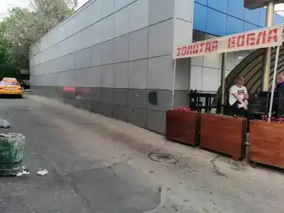 Земляника - 7