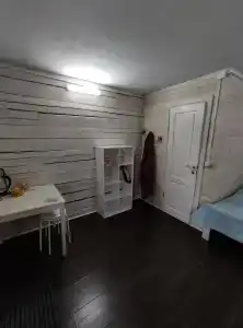 Капибара - 26