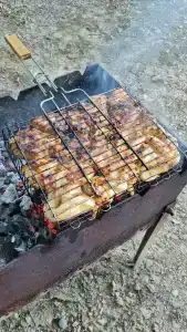 Родничок - 98