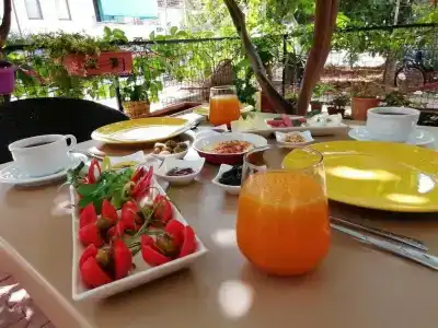 Cobanoglu - 28