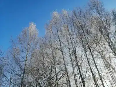 База отдыха на Белой - 21