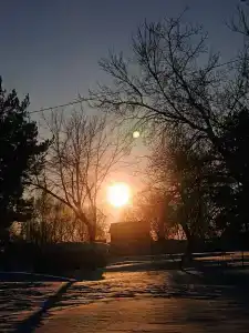 Лесное озеро - 3