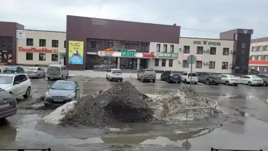 Фокс - 46