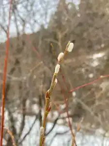 Солонечный - 58